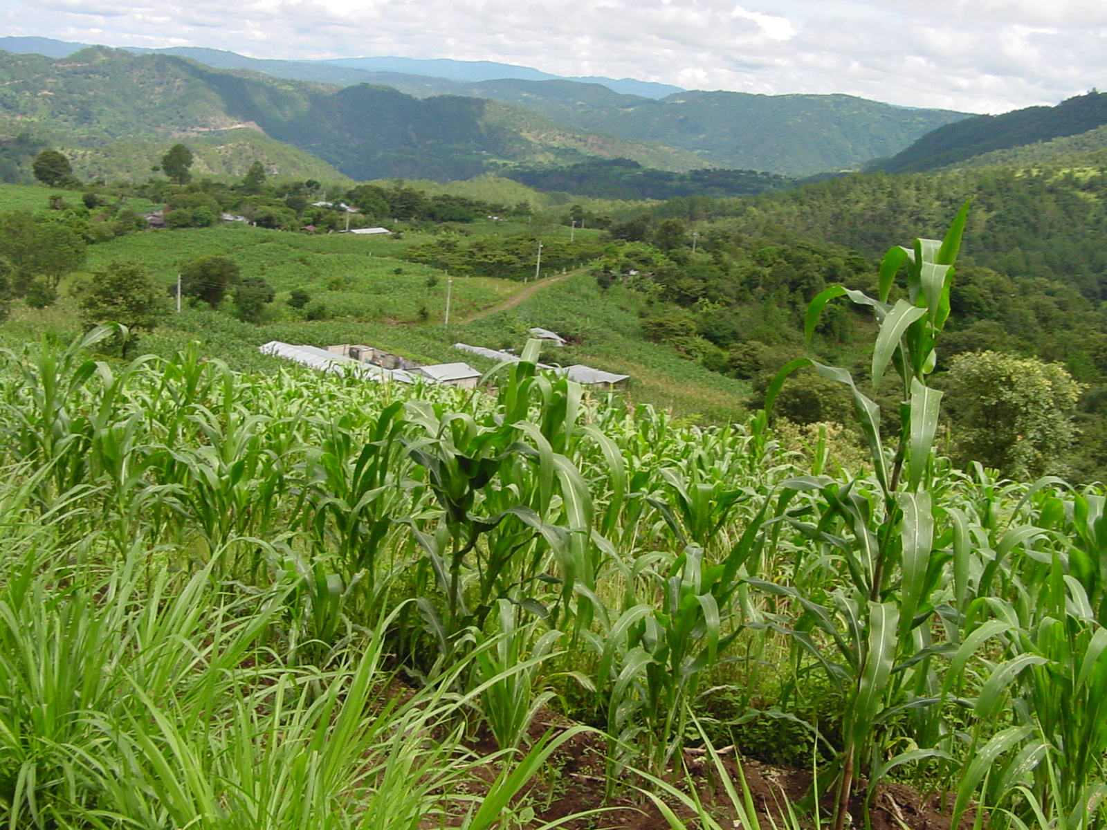 Guatemala Highlands