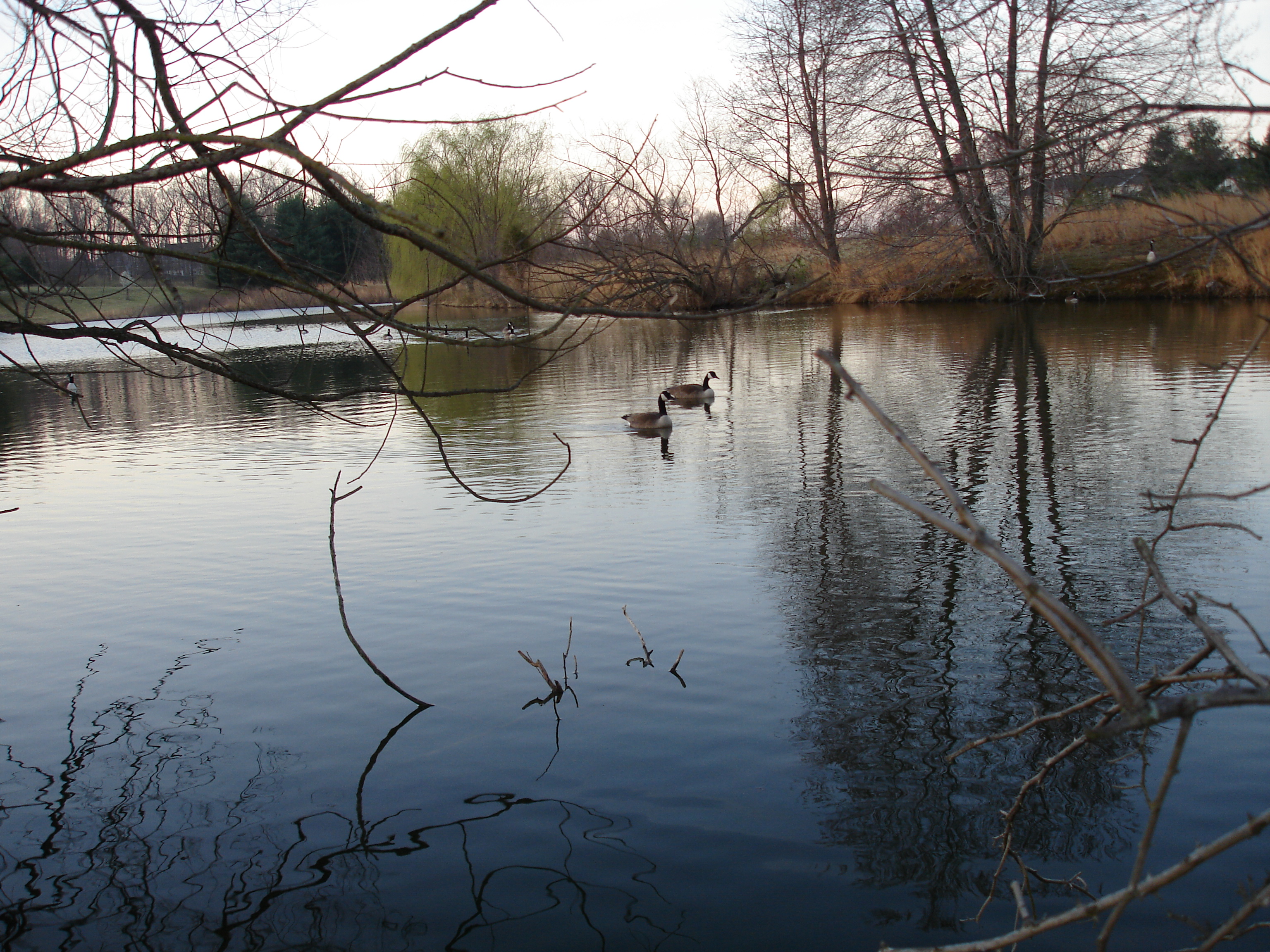 Lake of the Saints (Dayspring) by Pat Conover